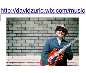 David Zuric MUSIC Pic 3