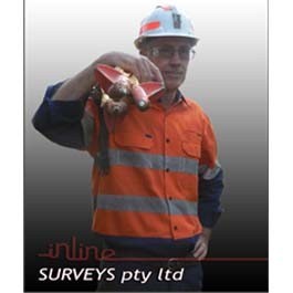 inline Surveys Pic 3 - Chris Colman Registered Surveyor BSurv Hons