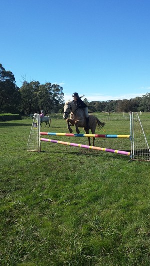 Black Range Pony Club Pic 4