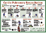 G and A First Aid Supplies Pic 2 - CPR Chart