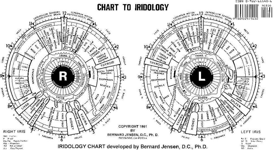 Essence of Health & Beauty Pic 1 - iridology