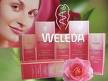 Essence of Health & Beauty Pic 4 - weleda skin care