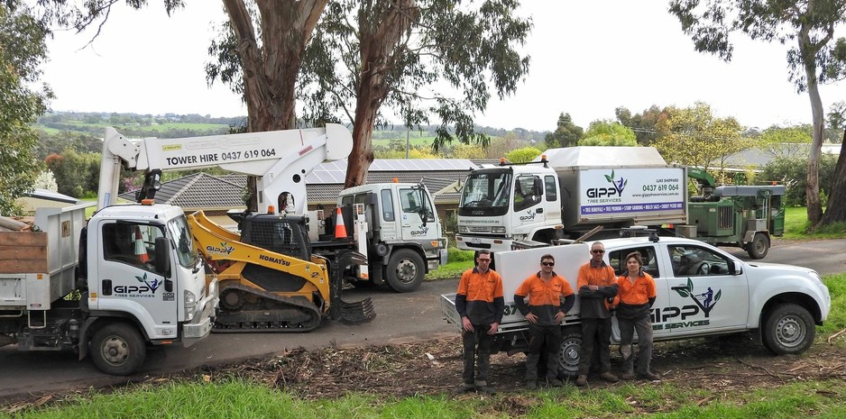 Gippy Tree Services Pic 1