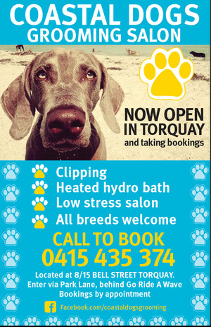 Coastal Dogs Grooming Salon Pic 3 - Coastal Dogs Torquay