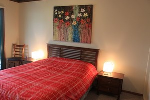 Mossy Point Holiday Rentals Pic 3 - The Bedroom