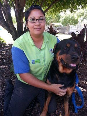 Animal World Pet Resorts - Park Ridge Pic 4 - Mary lou and Rocky