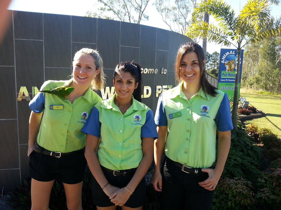 Animal World Pet Resorts - Park Ridge Pic 1 - Some of our professional pet loving team ready to spoil your pet