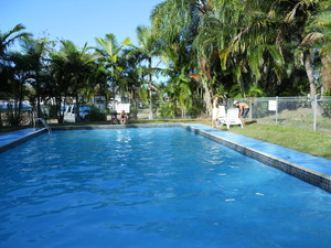 BIG4 Mackay Marine Tourist Park Pic 2 - BIG4 Mackay Marine Tourist Park saltwater swimming pool