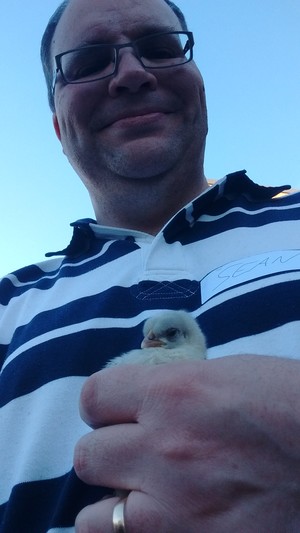 Farmer Darcy's Travelling Farm Pic 5 - Cuddling a pretty chick