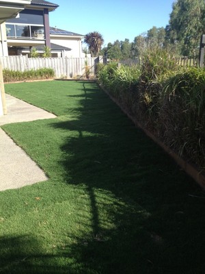 Tee to Green Turf Solutions Pic 3 - Santa Ana Couch