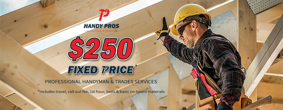 Handy Pros Pic 2