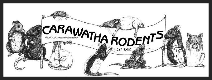 Carawatha Rodents Pic 1 - carawatha rodents est1986