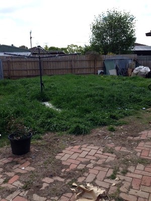 Pronto Lawnmowing & Gardening Pic 4 - Messy Yard rear of 34