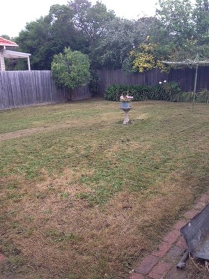 Pronto Lawnmowing & Gardening Pic 2 - Rear Yard at 1072 starting to Change