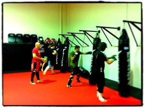 Evolve Mixed Martial Arts Pic 4