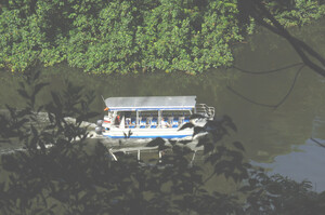 Bruce Belcher's Daintree River Cruises Pic 3