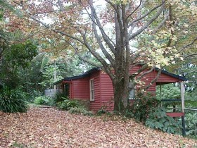 Turkeys Nest Rainforest Cottage Pic 1 - Turkeys Nest Rainforest Cottage