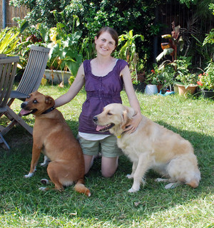 Pet Buddy Pic 2 - Your professional pet carer Michelle with her dog Trapper and one of our clients dogs