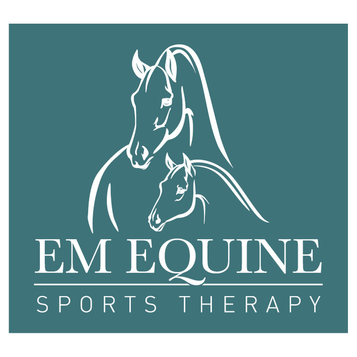 EM Equine Sports Therapy Pic 1 - EM Equine Sports Therapy