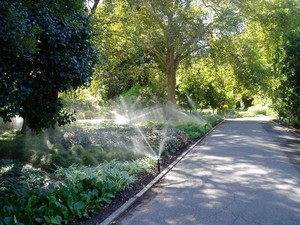 HydroPlan Pic 3 - Botanic Gardens of Adelaide Design and project manage new delivery systems installation