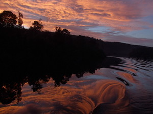 Water By Nature Tasmania Pic 4 - Magical sunrise on the Gordon River on the way out to Strahan