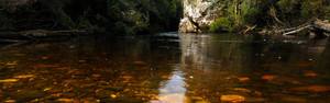 Water By Nature Tasmania Pic 5 - The Franklin River meets the Collingwood