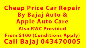 Apple Auto Care Pic 2