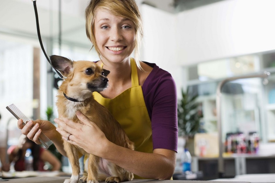 Foxy's Dog Wash and Grooming Services Pic 1