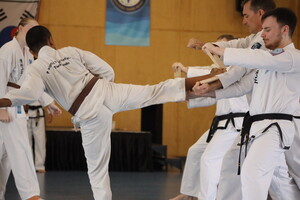 Pacific International Taekwondo Pic 4