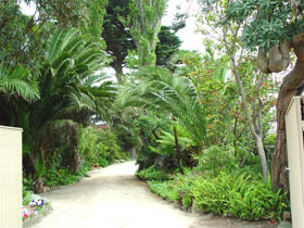 Seacove On The Beach Pic 1 - Entrance