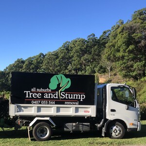 All Suburbs Tree & Stump Removal Pic 2