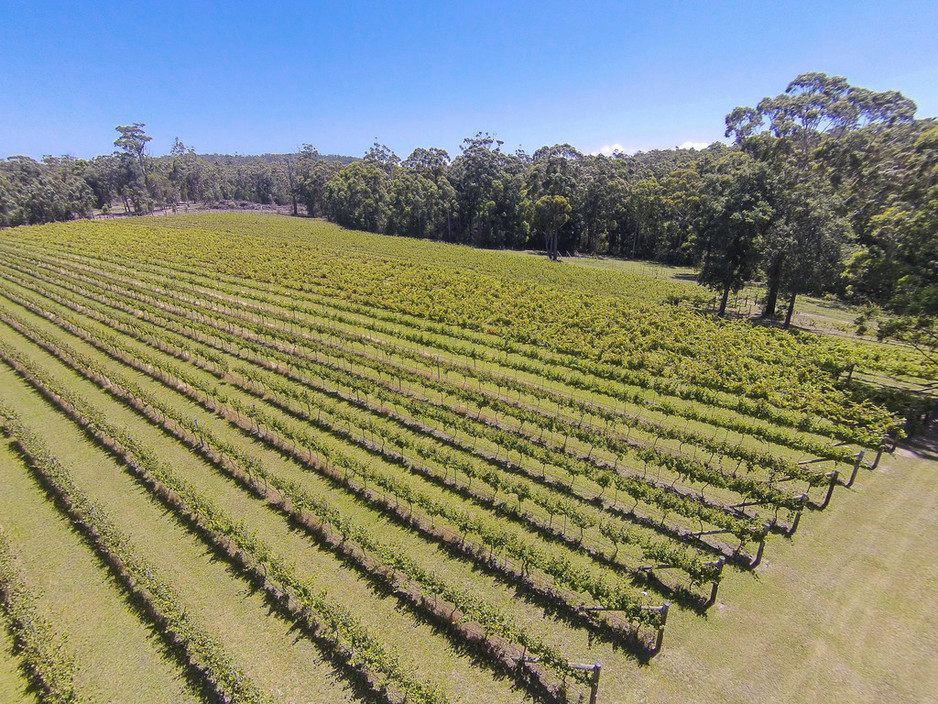 Bawley Vale Estate Pic 1 - Bawley Vale Estate Vineyard