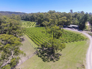 Bawley Vale Estate Pic 3 - Bawley Vale Estate Orchard Cellar Door and Vineyard