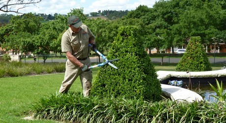 Michael's Gardening and Pressure cleaning Pic 1