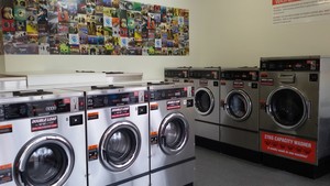 Blue Hippo Laundromats Pic 3