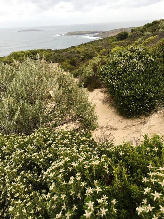 Kangaroo Island Booking Centre Pic 1