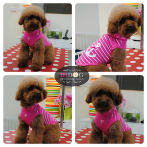 M Dog Grooming Pic 2