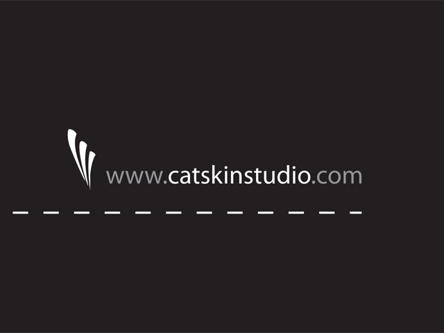 Catskin Studio Pic 1 - affordable web design professional graphic design time saving applications catskin studio