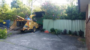 John's Tree Services North Shore Pic 2