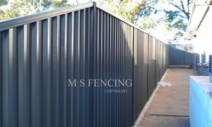 M S Fencing Pic 5