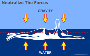 SwimLab Pic 2 - Understanding fluid dynamics and humans in water