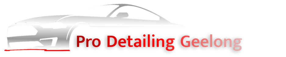 Pro Car Detailing Geelong Pic 1