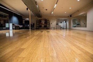 WORLDWIDE DANCE STUDIOS Pic 3 - STUDIO 1 190m2