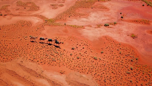 Alice Springs Film And Television Pic 3