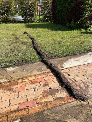 AllJays Plumbing & Drainage Pic 2 - Tree root pulled out of blocked stormwater pipe