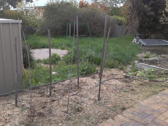 Plain & Simple Gardening Pic 1