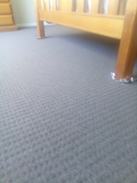 Griffith Carpet Care Pic 1