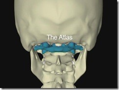 Alison Prinic Pic 2 - Atlasprofilax Brochure MkII