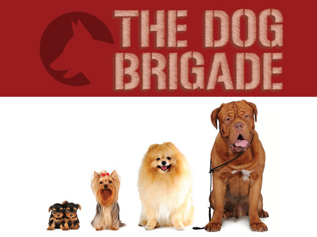 The Dog Brigade Pic 1 - The Dog Brigade