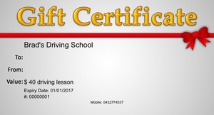 Brad's Driving School Pic 2